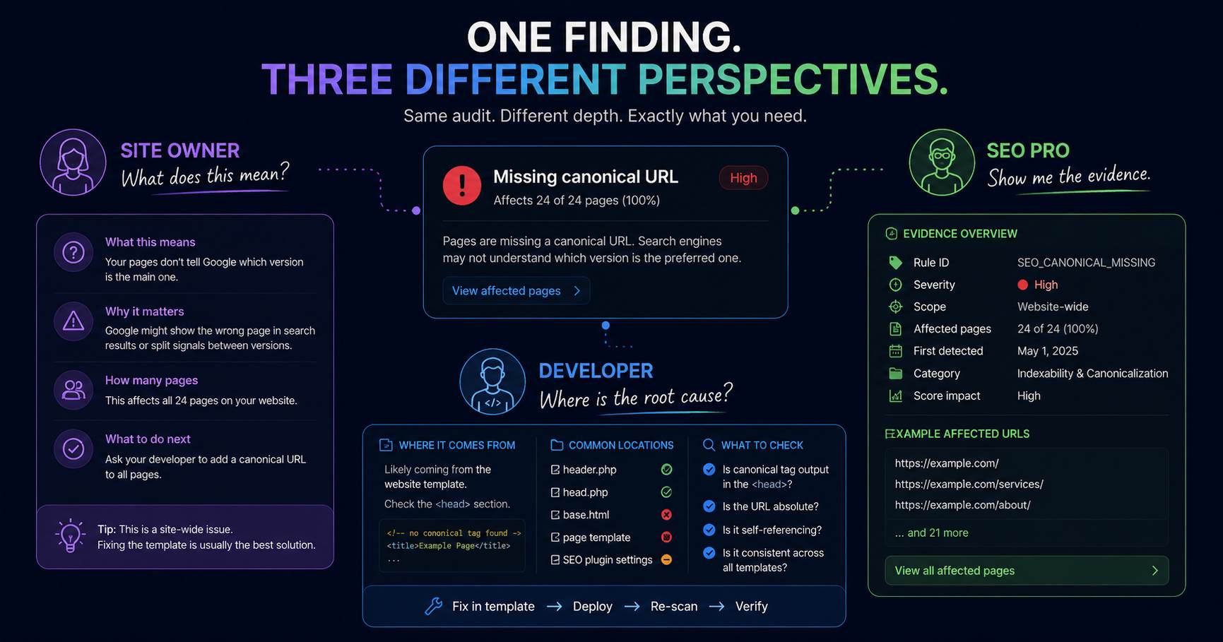 One Fridica SEO finding shown from the perspectives of a site owner, developer and SEO professional